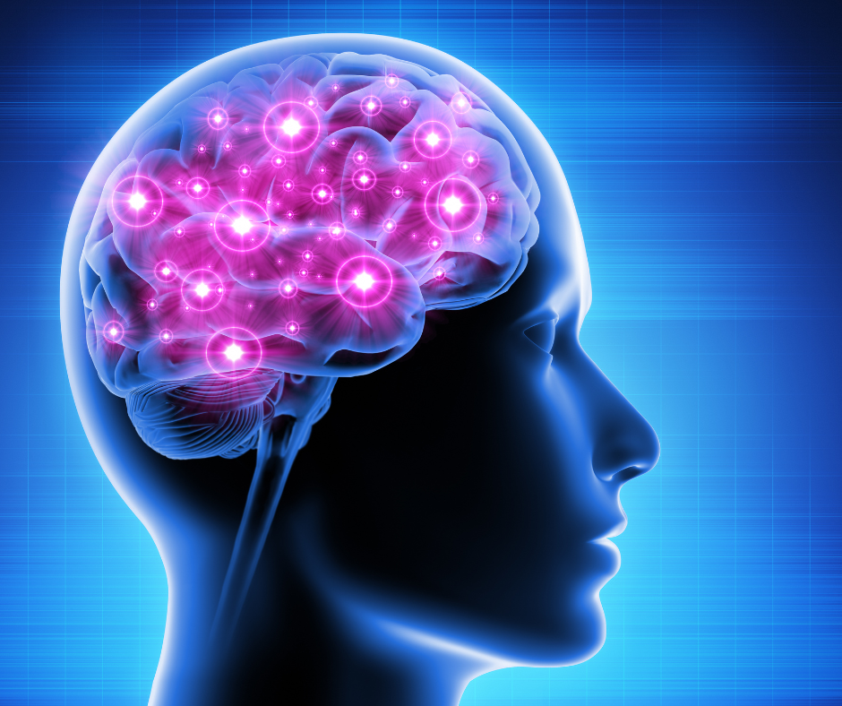 Benefits of short term fasting on Brain cells